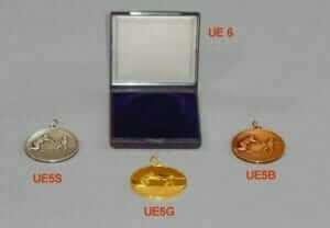 Fencing medal case
